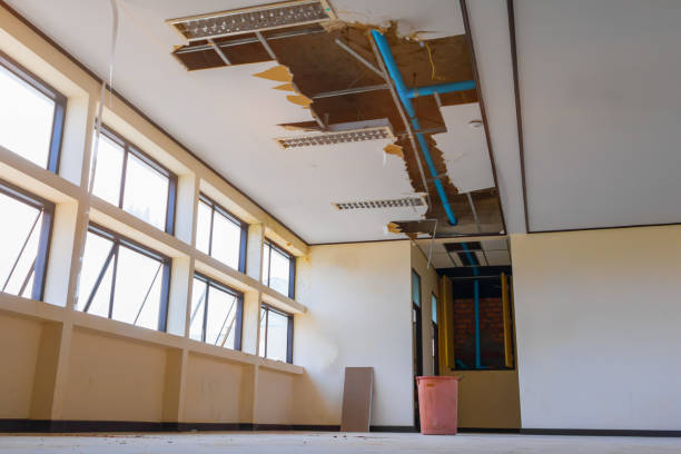 Best Fire Damage Restoration  in Sunrise, FL