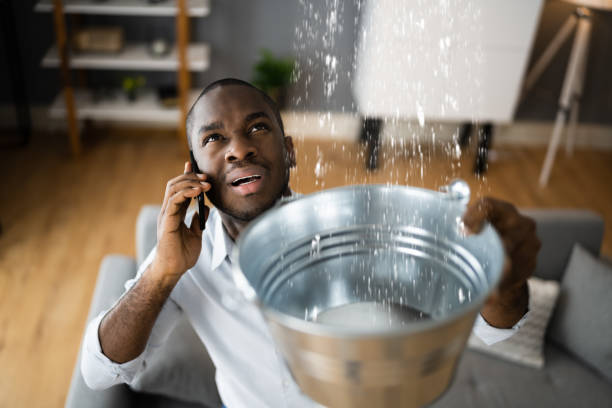 Best Water damage restoration near me  in Sunrise, FL
