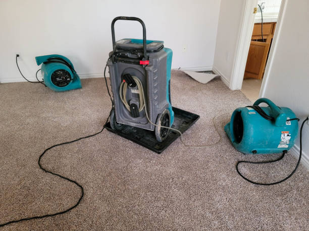 Best Professional water damage repair  in Sunrise, FL