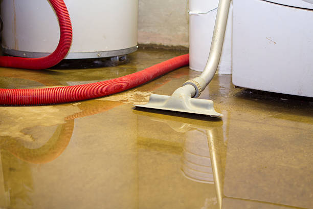 Best Water damage restoration insurance claims  in Sunrise, FL