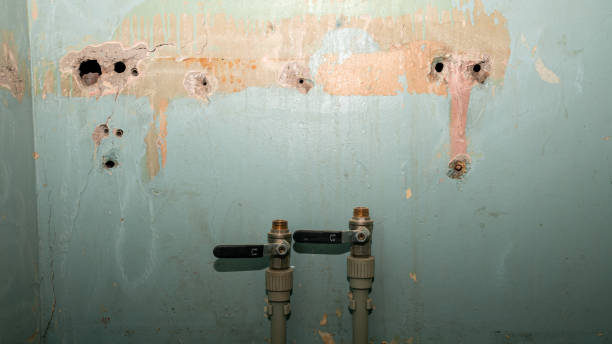 Best Emergency water damage restoration  in Sunrise, FL