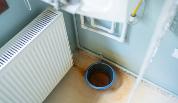 Best Carpet water damage restoration  in Sunrise, FL