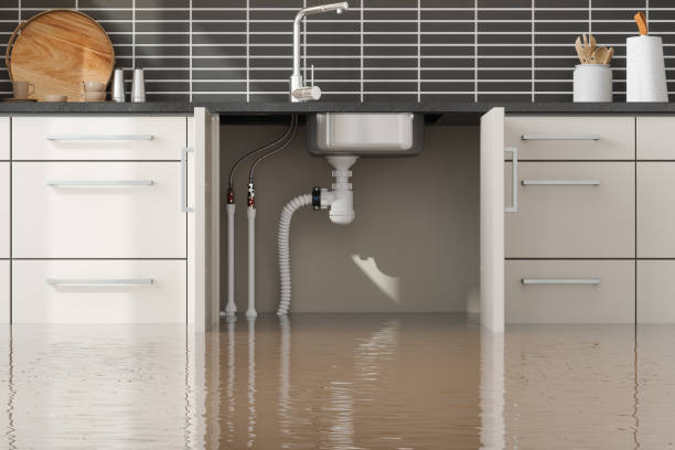 Best Water damage restoration near me  in Sunrise, FL